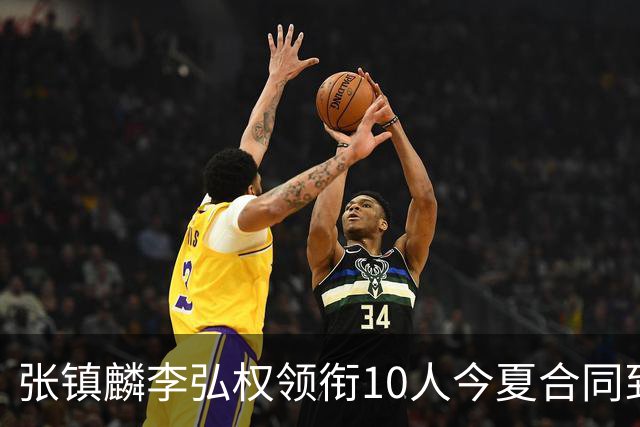 张镇麟李弘权领衔10人今夏合同到期：上海除王哲林两大顶薪花落谁家？