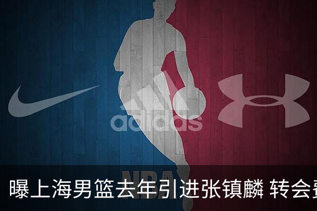 曝上海男篮去年引进张镇麟 转会费投入超5000万
