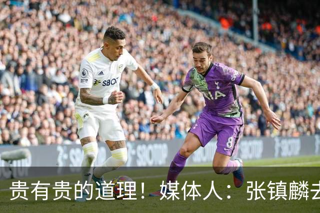 贵有贵的道理！媒体人：张镇麟去年加盟上海转会费投入超5000万